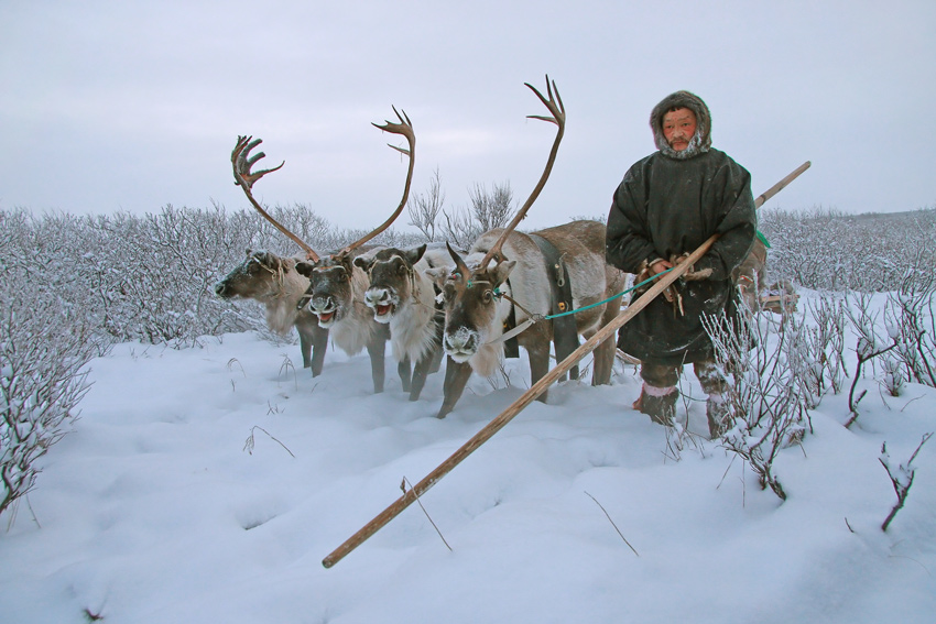 Северная деревушка